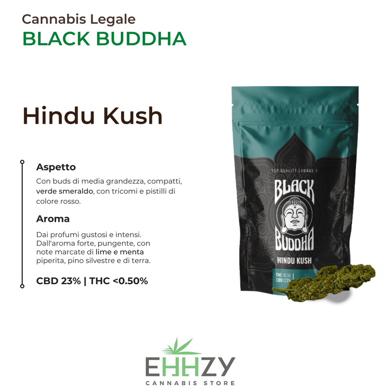 Cannabis Light Black Buddha EHHZY