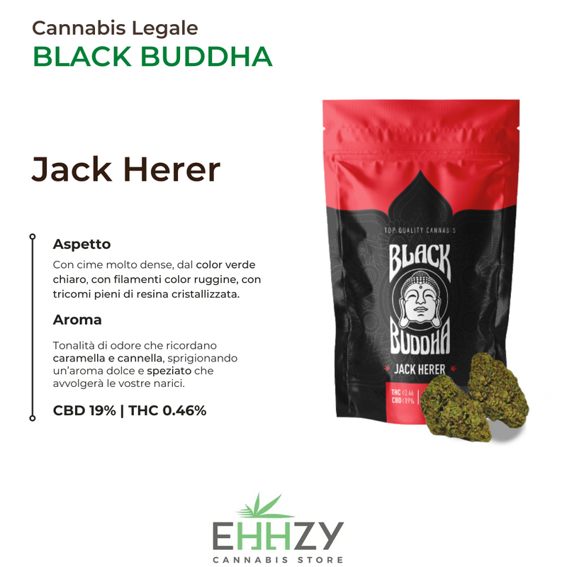 Cannabis Light Black Buddha EHHZY