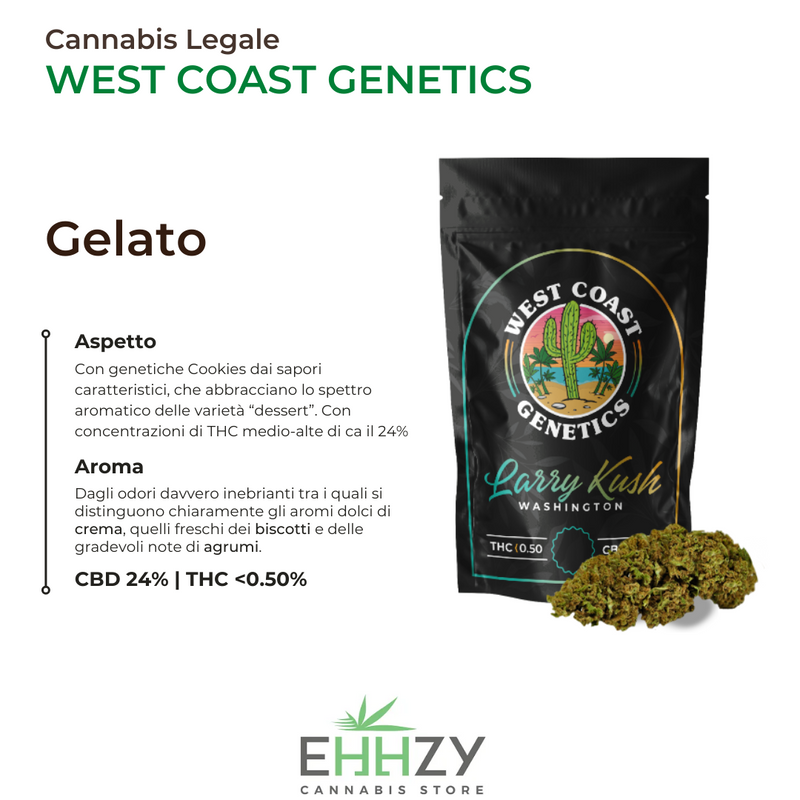 Cannabis Light West Coast Genetics EHHZY
